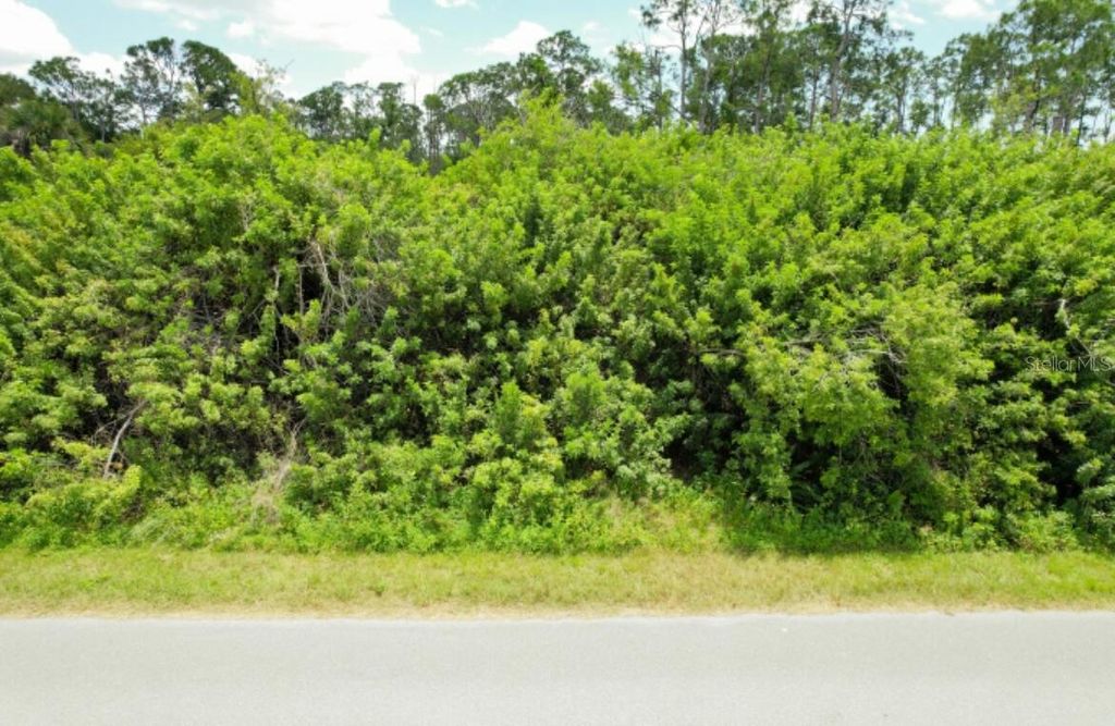 Photo of 1030 Cheshire Street, Port Charlotte, FL 33953 (MLS # C7518837)