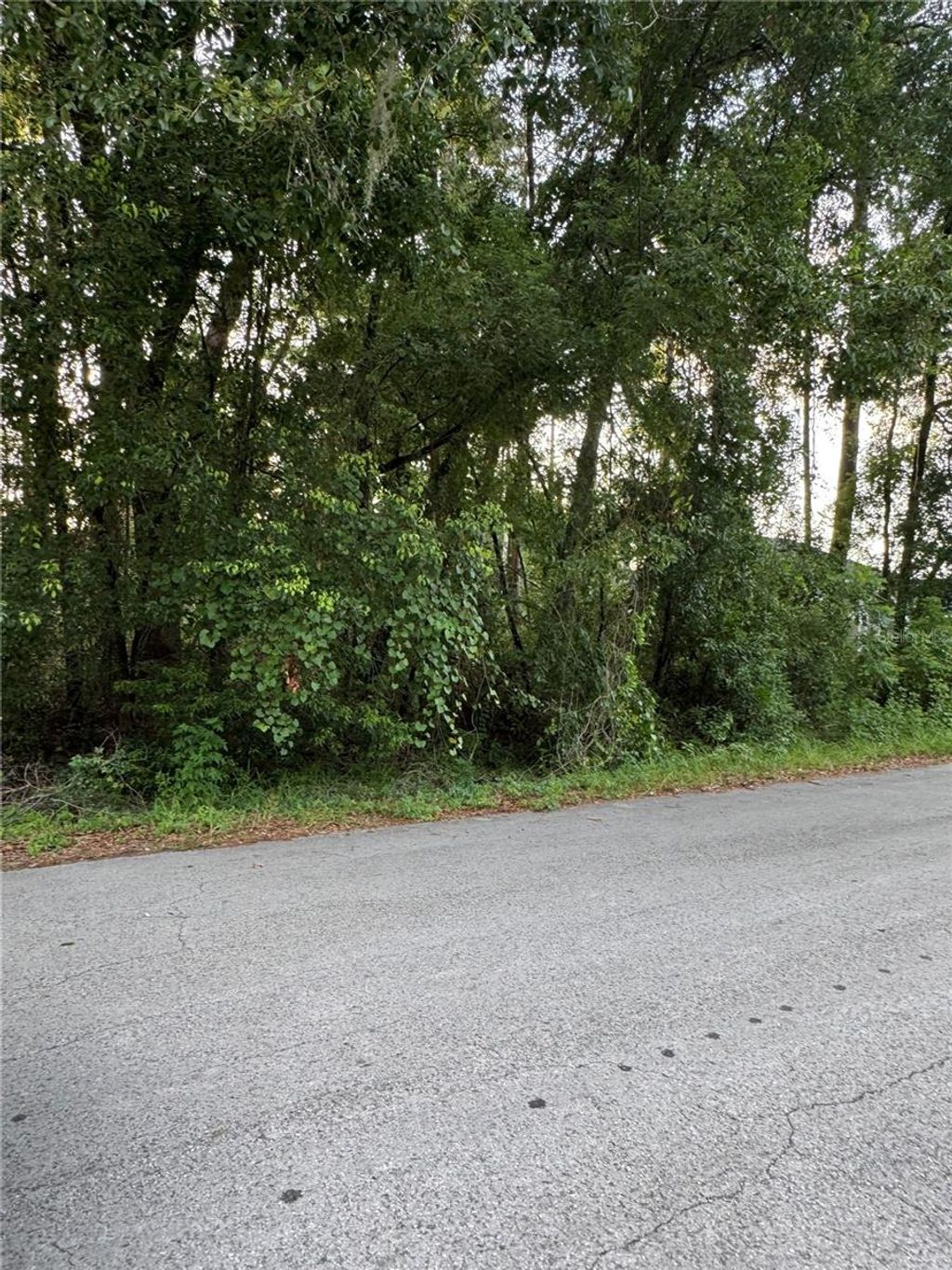 Photo of Tbd SE 158th Place, Summerfield, FL 34491 (MLS # OM710917)