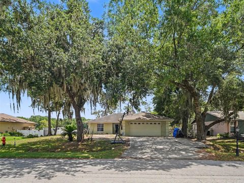 Photo of 5753 Southwind Drive, Mulberry, FL 33860 (MLS # TB8511933)