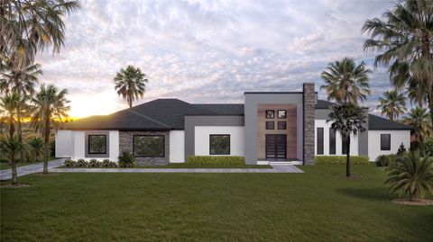 26019 ESTATES RIDGE DRIVE SORRENTO FL 32776