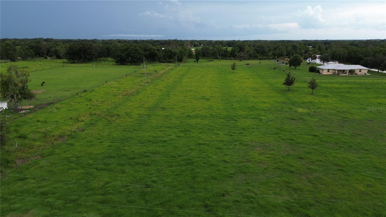 ARCADIA - Residential