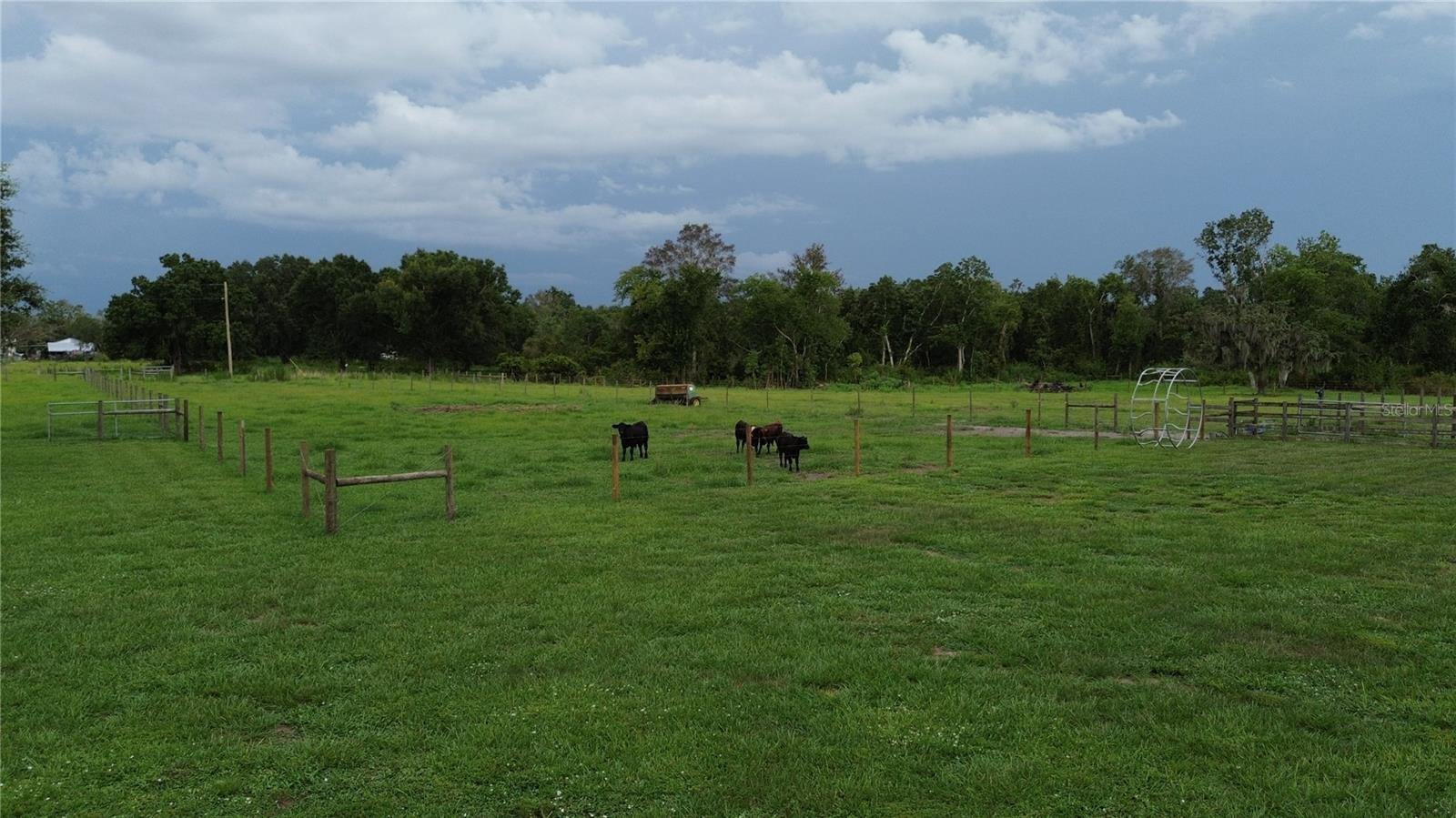 ARCADIA - Residential