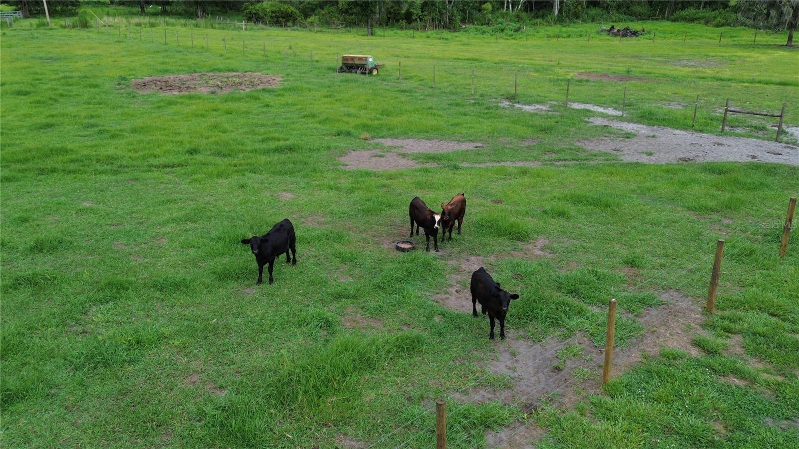 ARCADIA - Residential