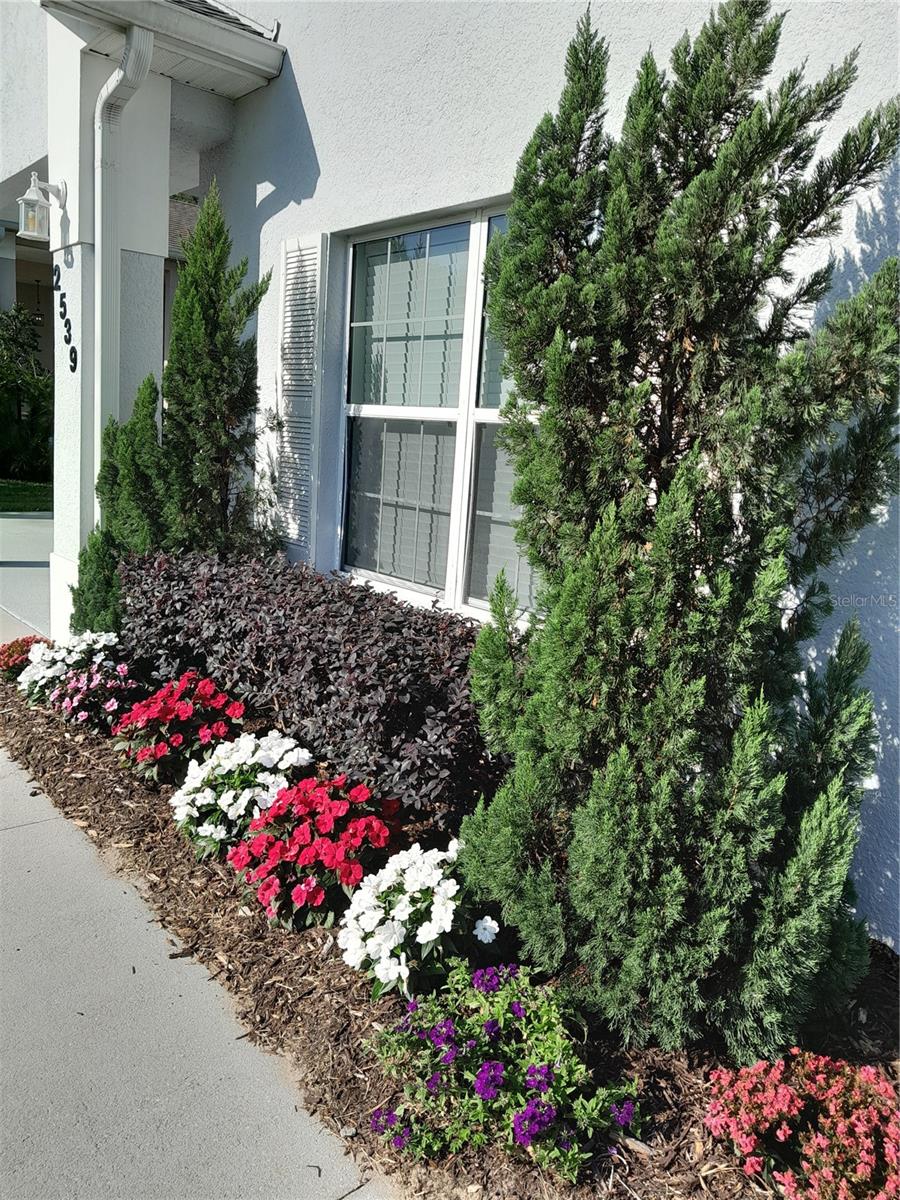 CITRUS HIGHLANDS PH I SUB - Residential