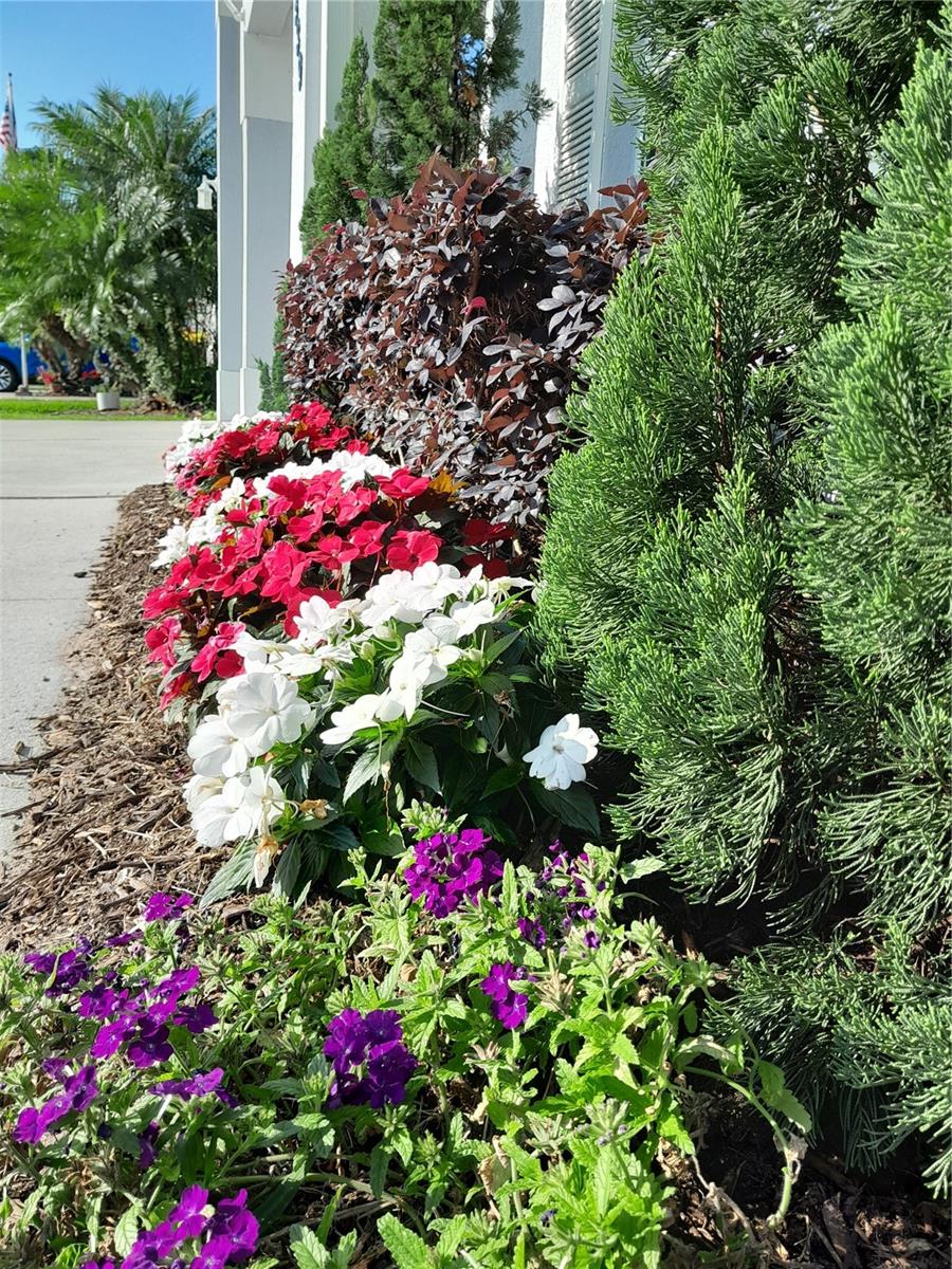 CITRUS HIGHLANDS PH I SUB - Residential