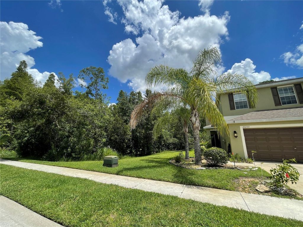 Photo of 20233 Indian Rosewood Drive, Tampa, FL 33647 (MLS # TB8433529)