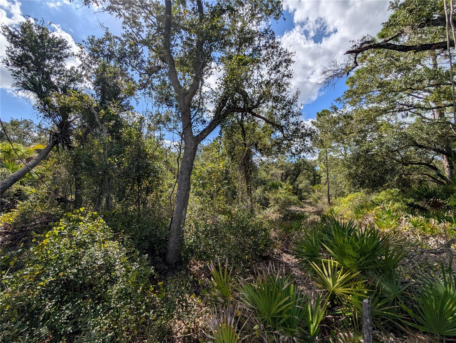 PORT CHARLOTTE SEC 024 - Land