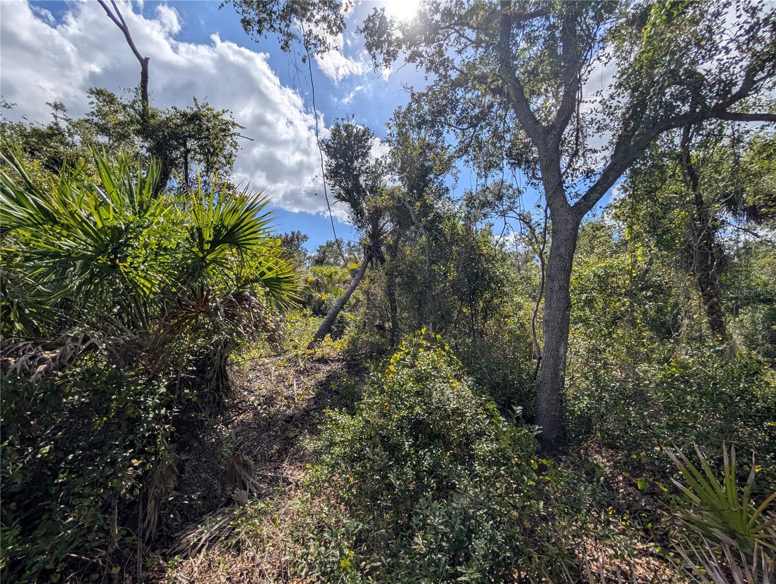 PORT CHARLOTTE SEC 024 - Land