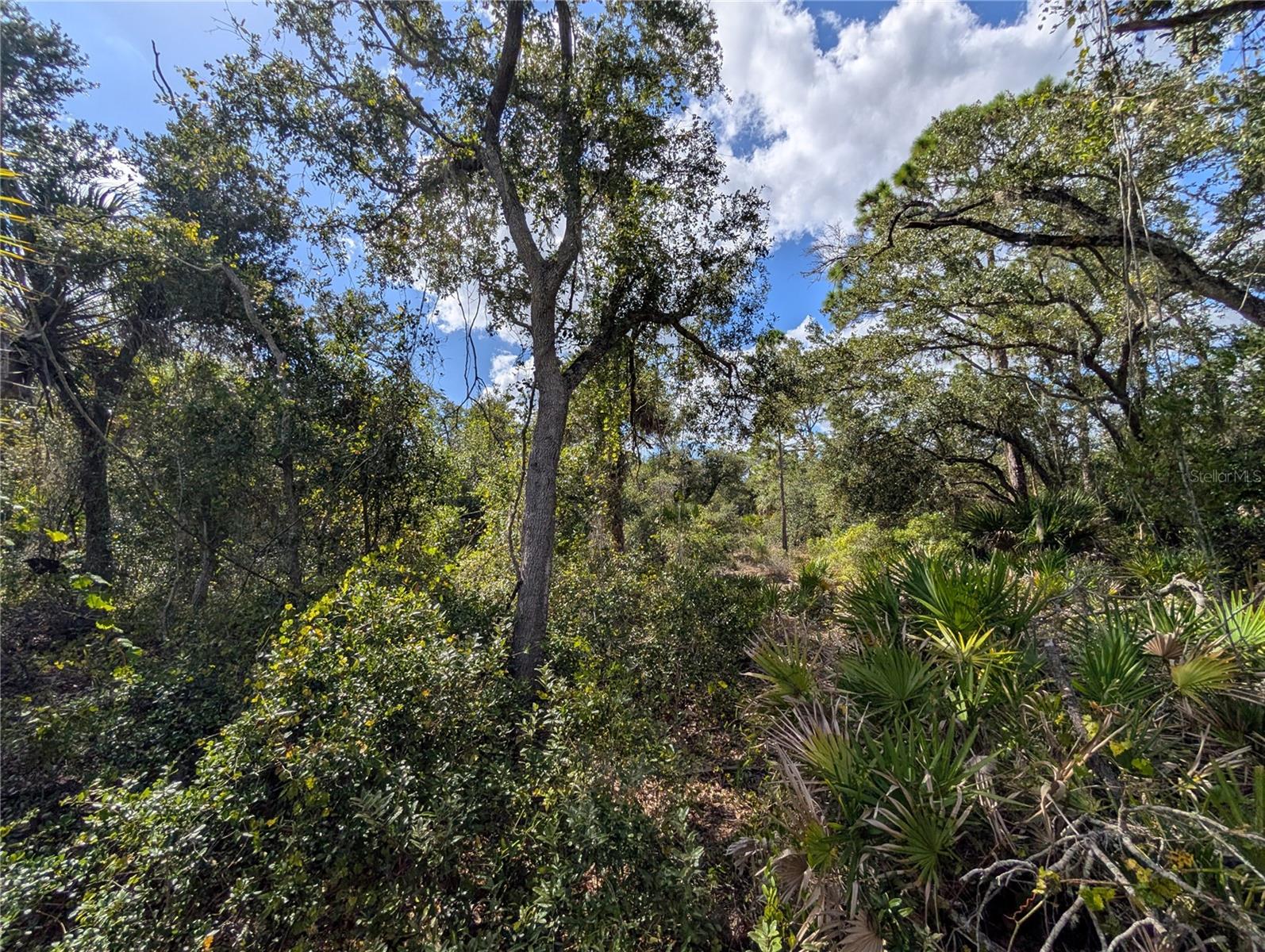 PORT CHARLOTTE SEC 024 - Land