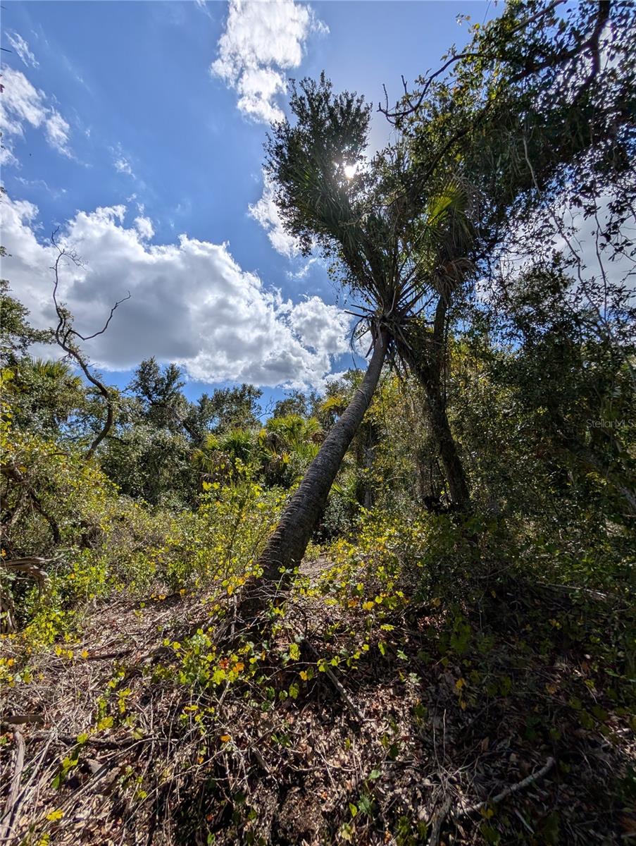 PORT CHARLOTTE SEC 024 - Land