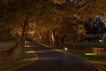 VIA PARADISUS PH 01 - Land