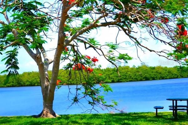 ISLAND RESORT AT MARINERS CLUB - Residential