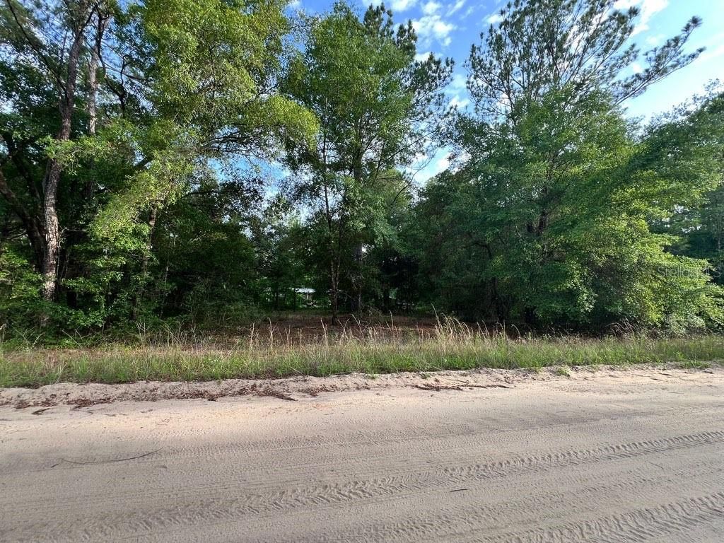 Photo of Decker Street Lot 12 13, Interlachen, FL 32148 (MLS # O6402641)
