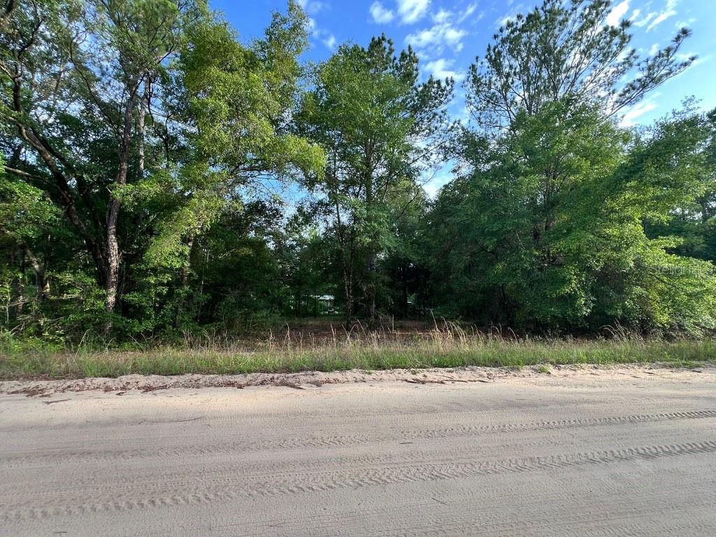 DECKER STREET LOT 12 13