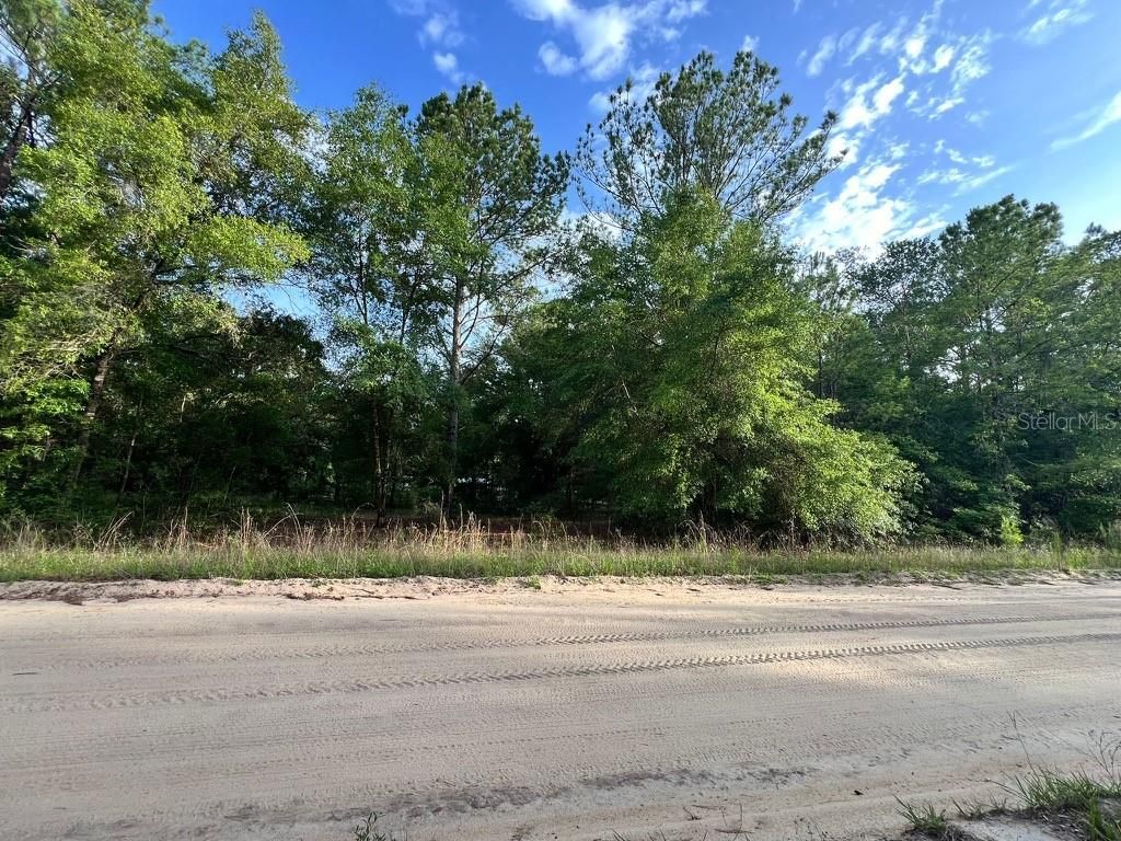 Photo of Decker Street Lot 12 13, Interlachen, FL 32148 (MLS # O6402641)