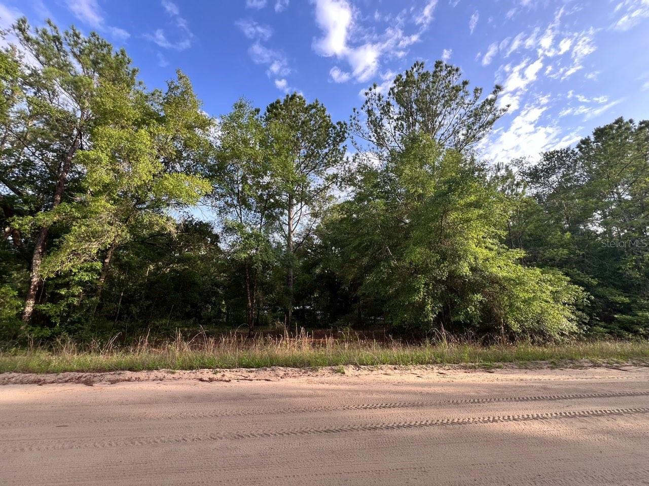 DECKER STREET LOT 12 13