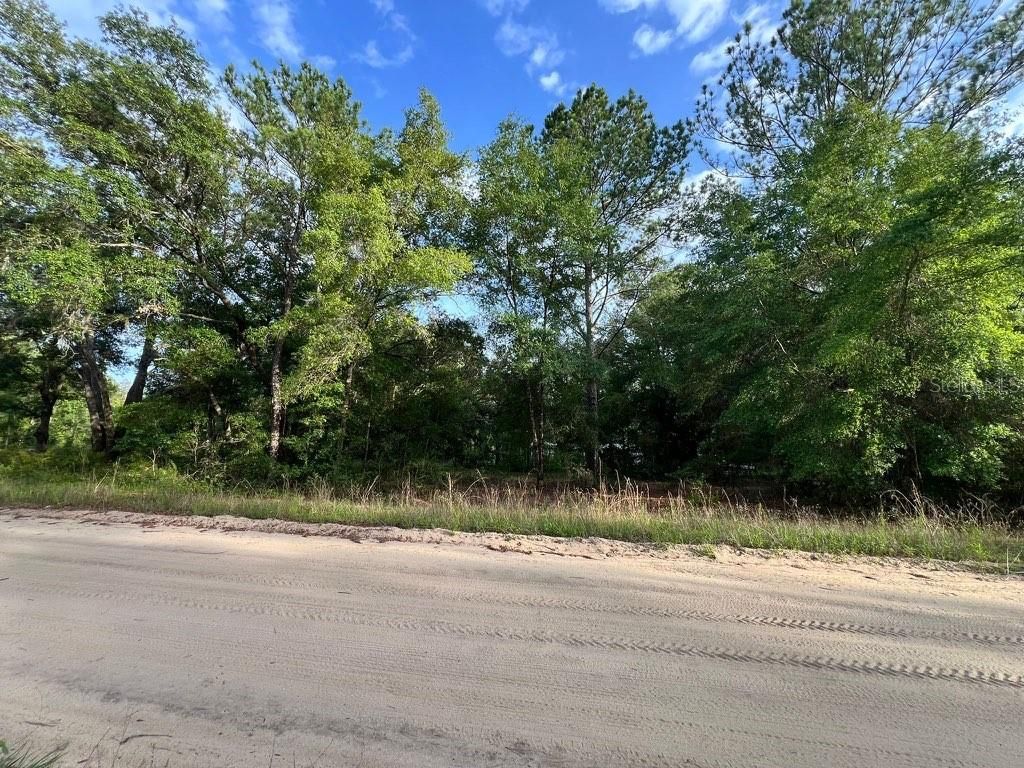 Photo of Decker Street Lot 12 13, Interlachen, FL 32148 (MLS # O6402641)