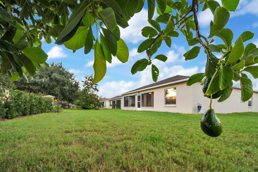HALLAM PRESERVE EAST - Residential