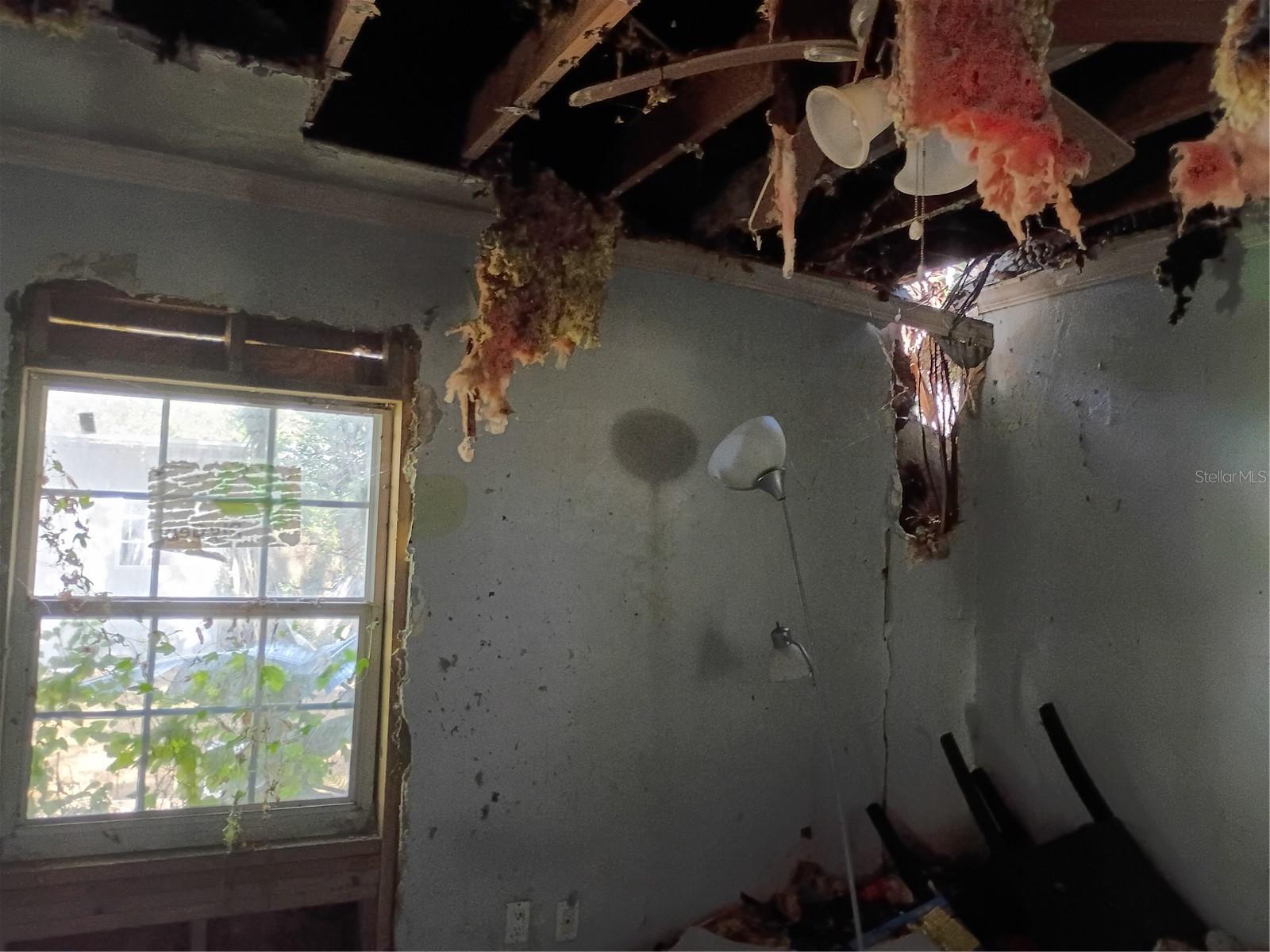 IDLEWILD ON THE HILLSBOROUGH - Residential