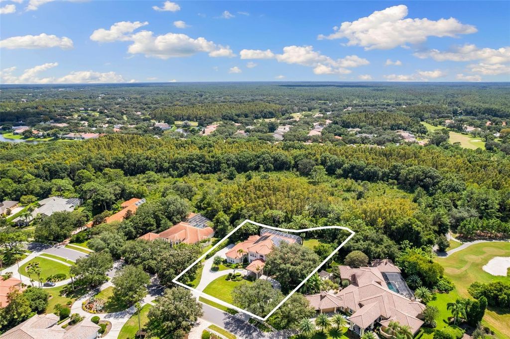 Photo of 18123 Longwater Run Drive, Tampa, FL 33647 (MLS # TB8320192)