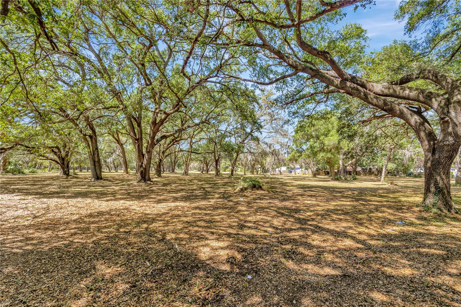 BETTY JEAN HEIGHTS - Land