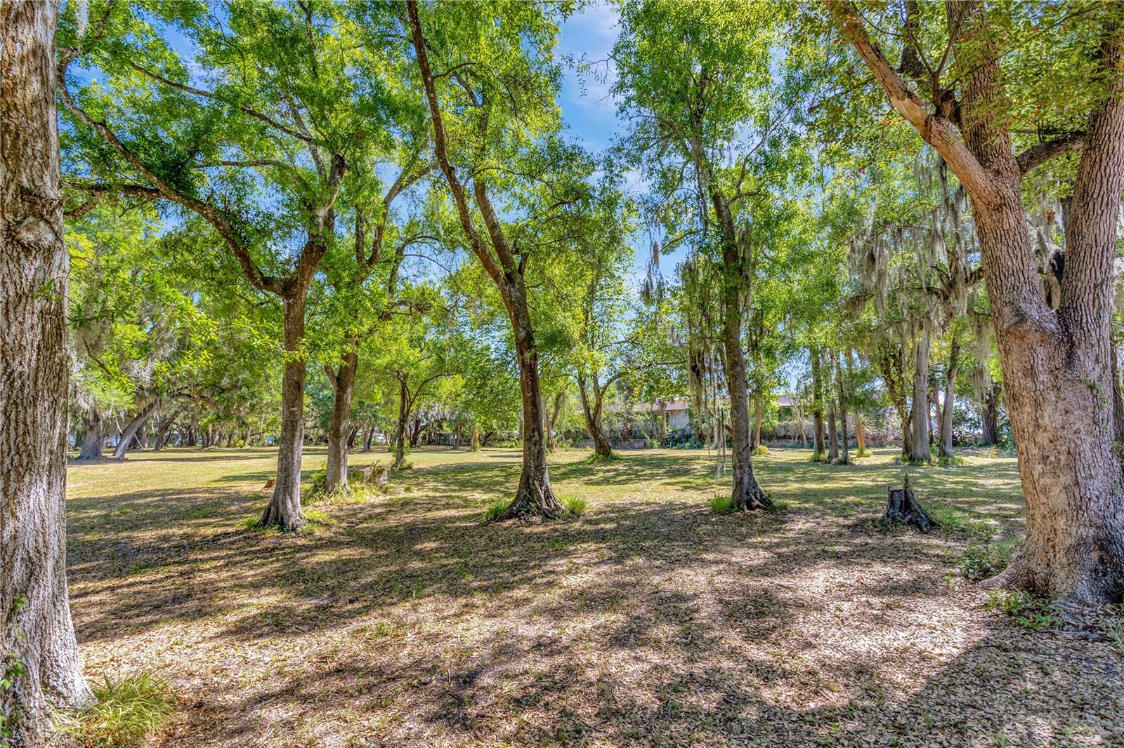 BETTY JEAN HEIGHTS - Land