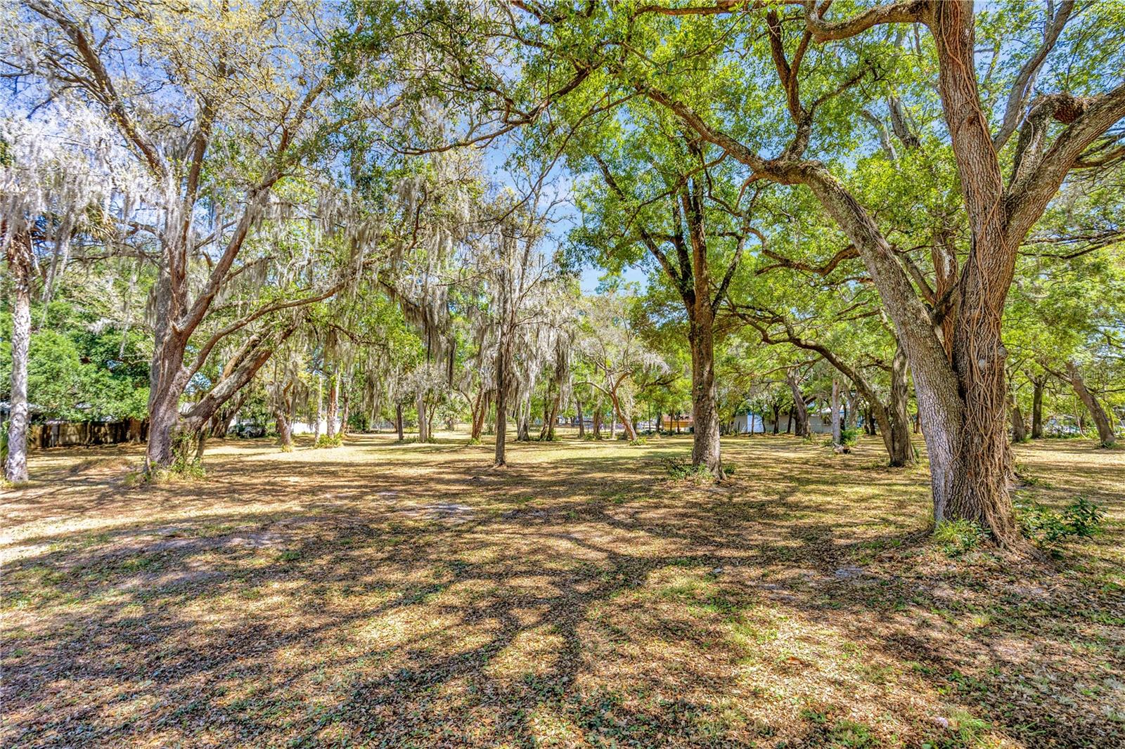 BETTY JEAN HEIGHTS - Land
