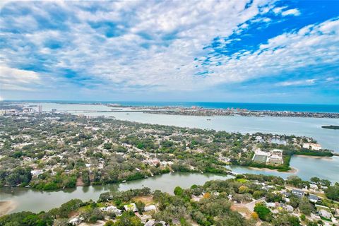 A home in CLEARWATER