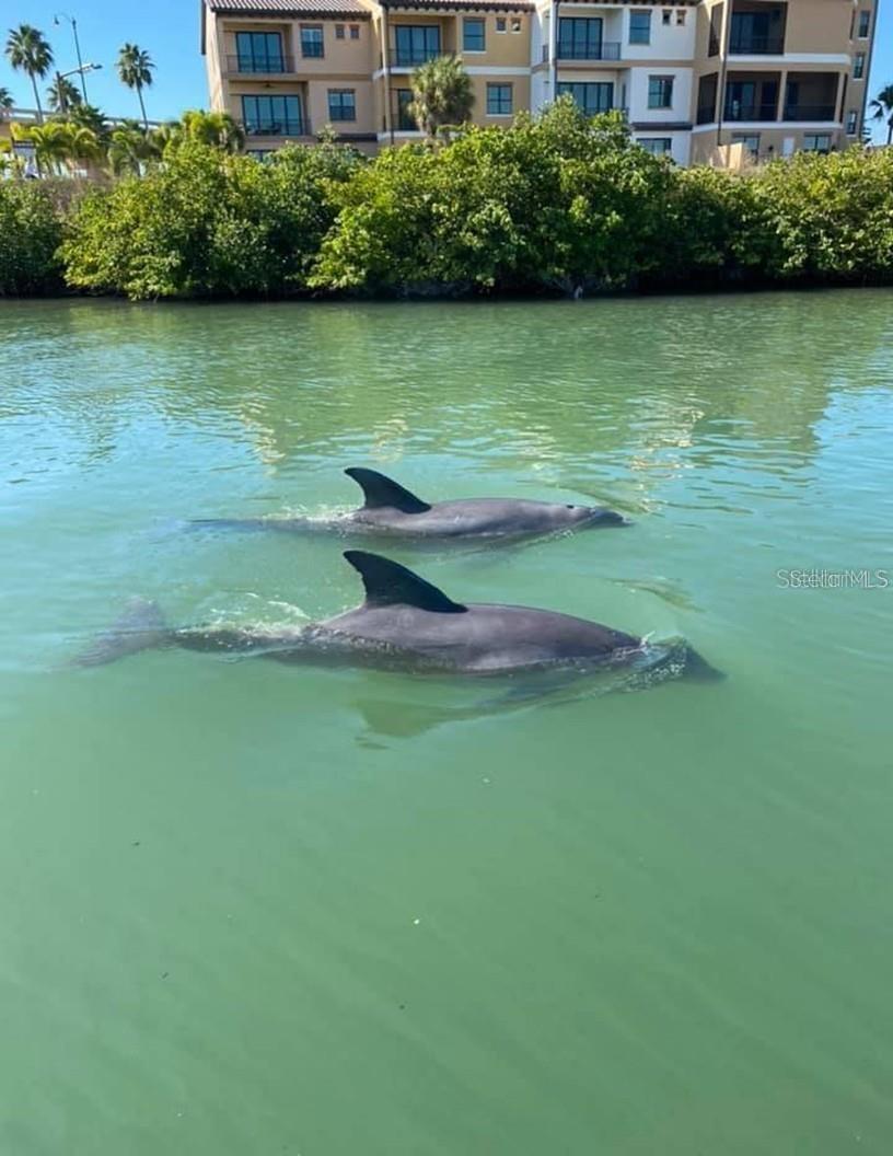 NOKOMIS BAYSHORE CLUB - Residential