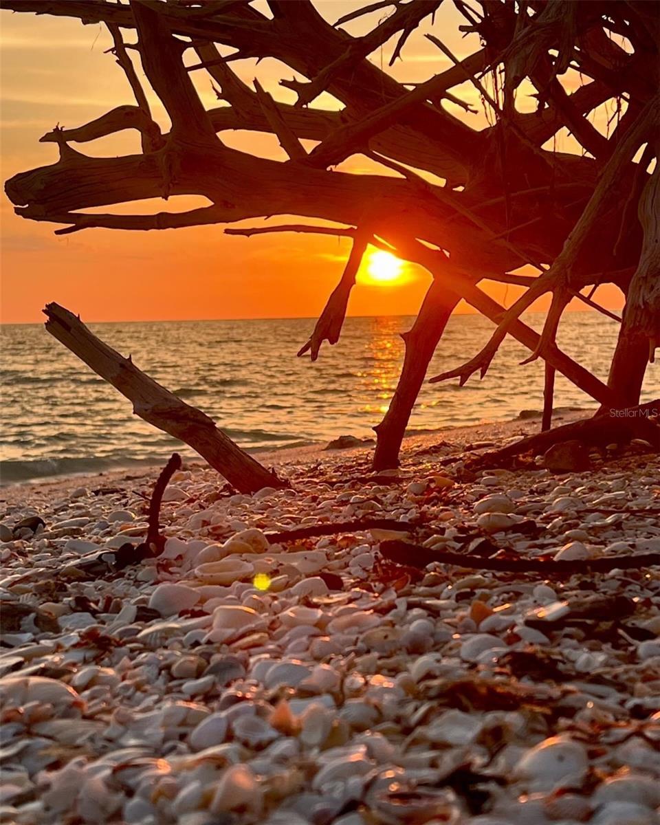 NOKOMIS BAYSHORE CLUB - Residential