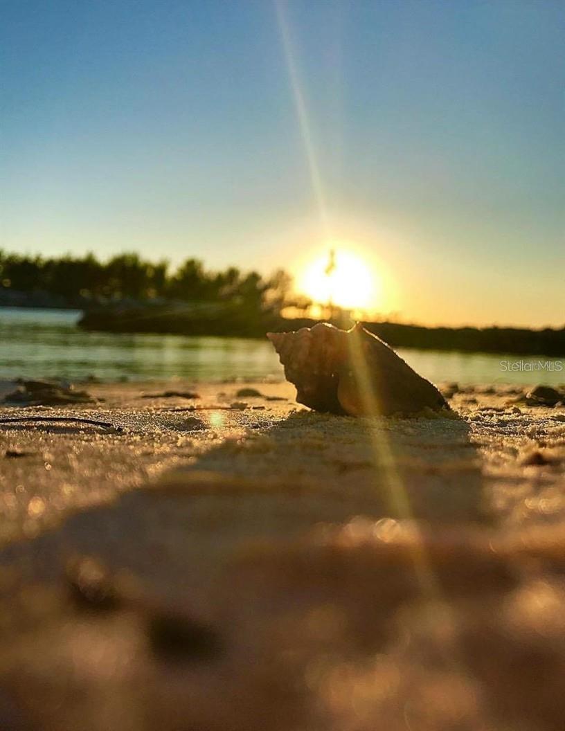 NOKOMIS BAYSHORE CLUB - Residential