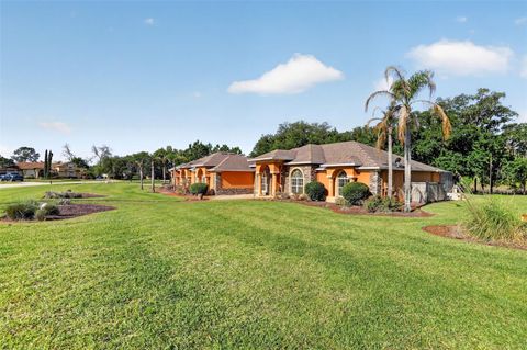 Tiny photo for 10107 Tween Waters Street, Clermont, FL 34715 (MLS # G5110610)