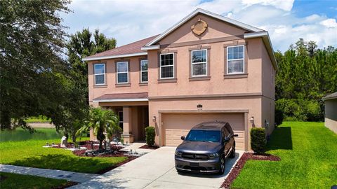 A home in WESLEY CHAPEL