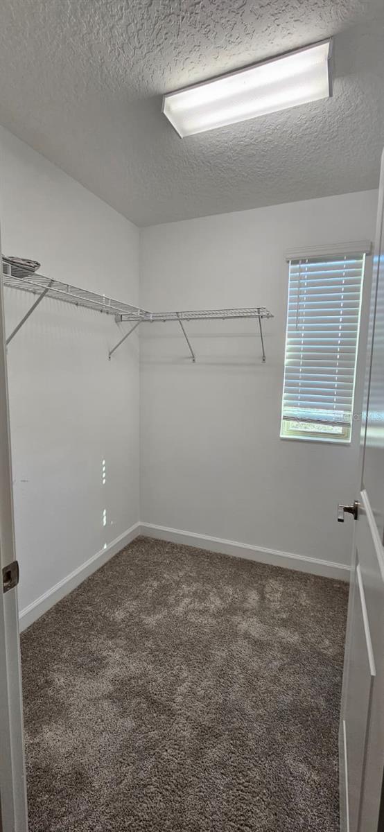 TAMPA PALMS AREA 3 PRCL 38 - Residential