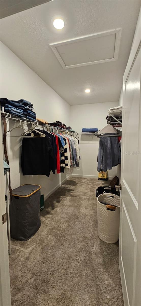 TAMPA PALMS AREA 3 PRCL 38 - Residential