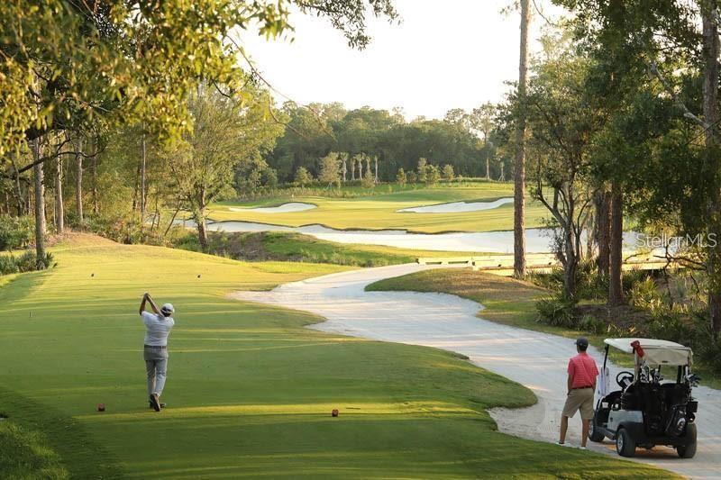 LAKEWOOD NATIONAL GOLF CULB PH II - Residential