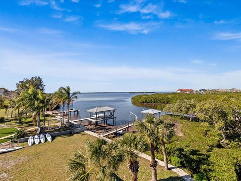 A home in TARPON SPRINGS