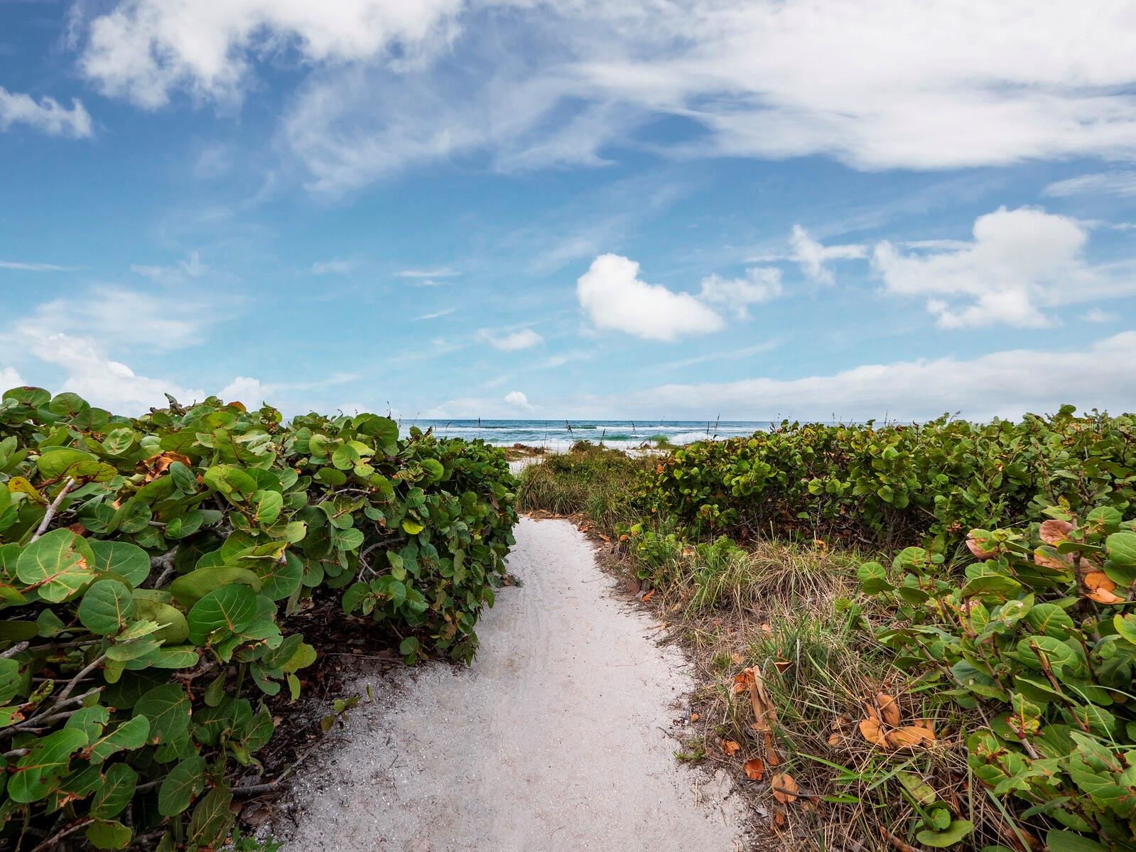 CEDARS EAST SEC 1 - Residential