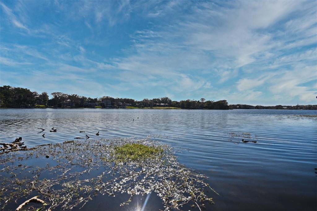 COMSTOCK PARK - Residential