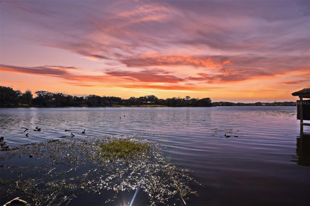 COMSTOCK PARK - Residential