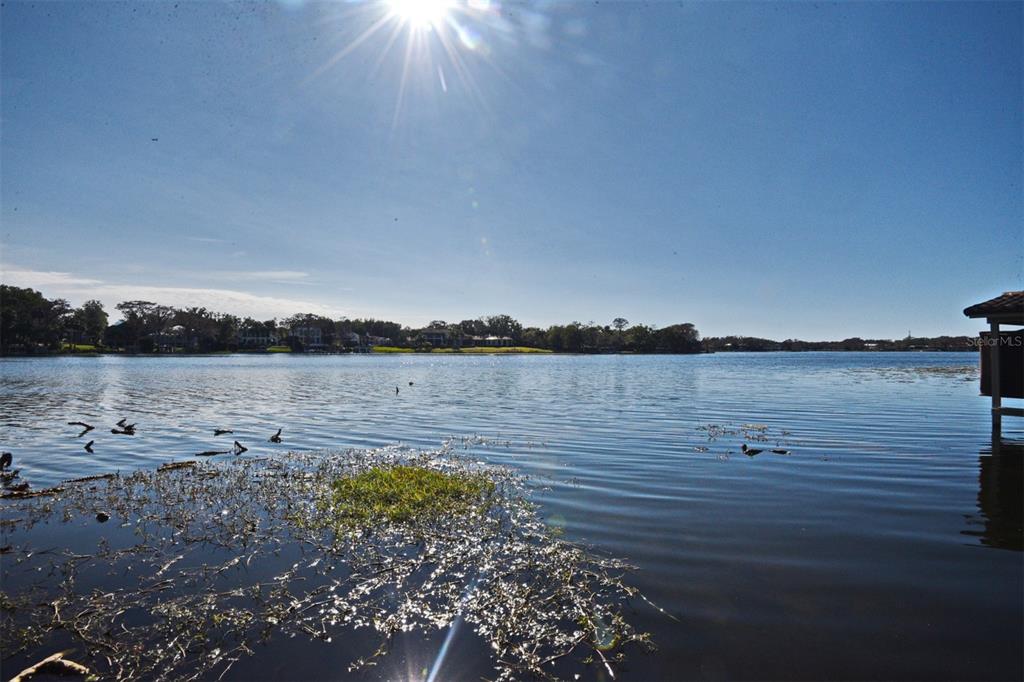 COMSTOCK PARK - Residential