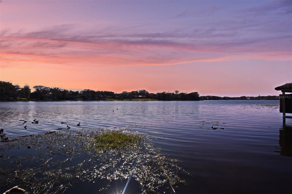 COMSTOCK PARK - Residential