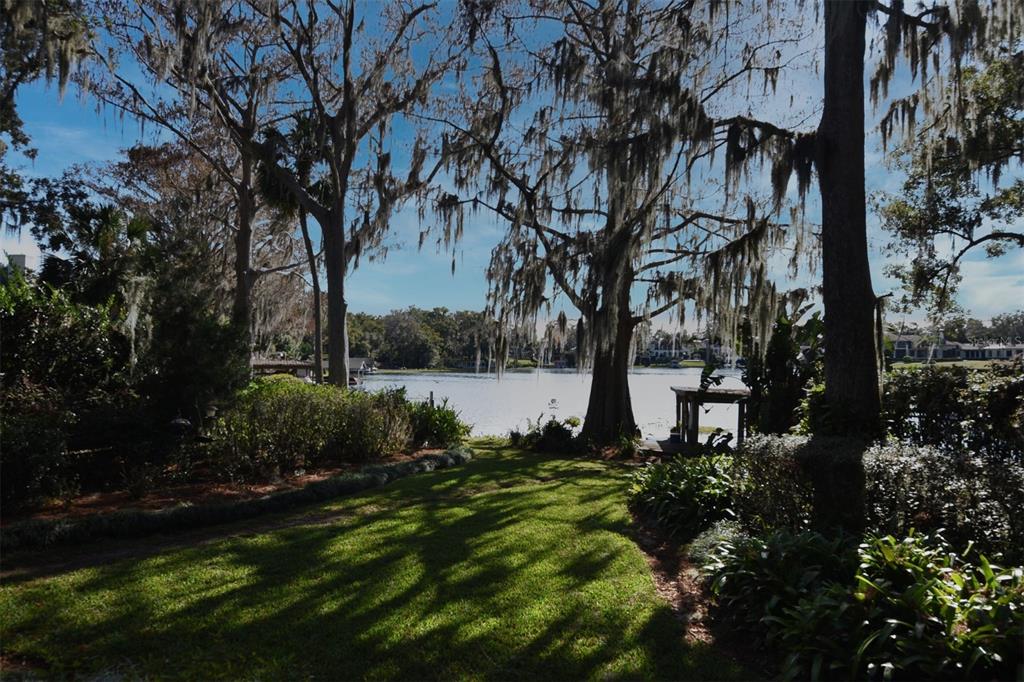 COMSTOCK PARK - Residential