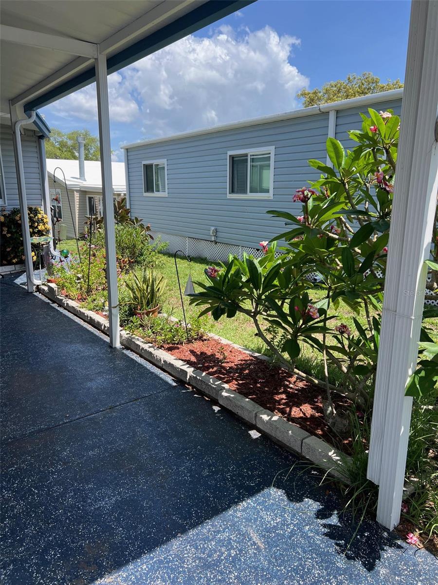 55 PALM FOREST DRIVE