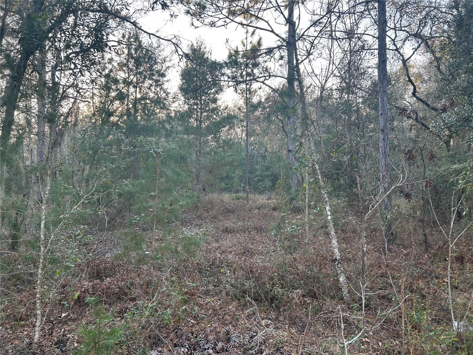 WILLISTON HIGHLANDS UNIT 14 - Land