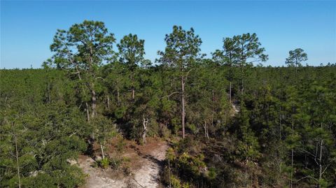 12500 NE 87TH PLACE BRONSON FL 32621