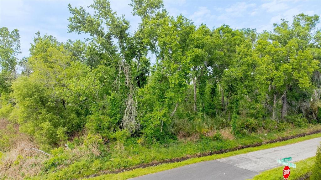 Photo of Hickman Avenue, Plant City, FL 33563 (MLS # O6399207)