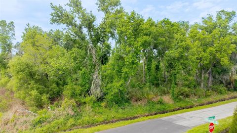 Photo of Hickman Avenue, Plant City, FL 33563 (MLS # O6399207)