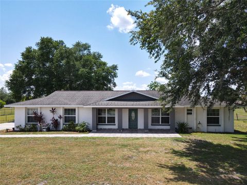 A home in KISSIMMEE