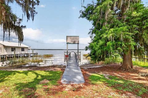 Tiny photo for 660 Oleander Street, Mount Dora, FL 32757 (MLS # G5114504)